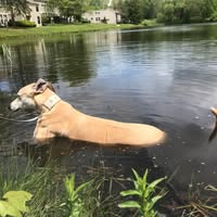 Nick Jones's profile image