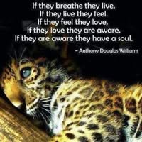 Mary Scott's profile image