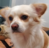 Noel Ngr Mendez's profile image