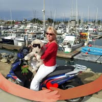 Marie McGrath's profile image