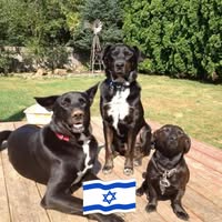 Laura Berggruen's profile image