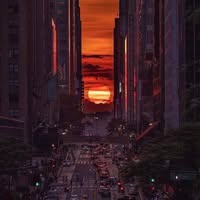 Courtney Dray's profile image