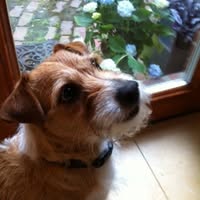 Edward Browne's profile image