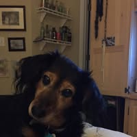 William Gily's profile image