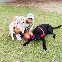 Krista Everson's profile image