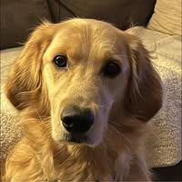 Denny Flynn's profile image