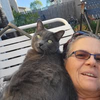 Kathleen McGowan's profile image
