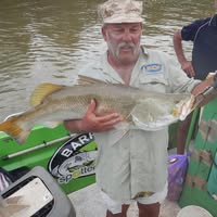 Russell Robertson's profile image