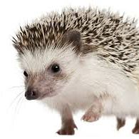Jeffrey Davis's profile image