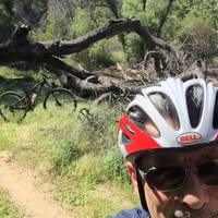 Eddie Atoian's profile image