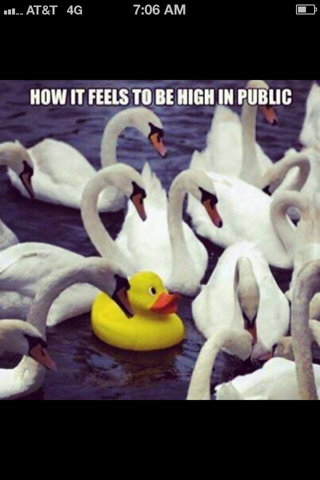 Karen M.'s profile image