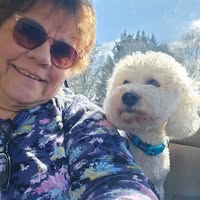 Donna Talley's profile image
