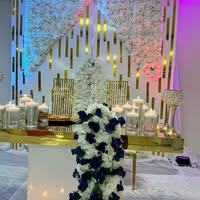 Antoinette Sanusi Bahsoon's profile image