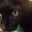 stephanie scannell's profile image