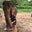 Monica King's profile image