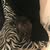 Frances Anthony Griffin's profile image