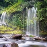 Carnalito Carnalito's profile image