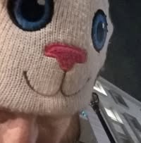 Douglas Brannon's profile image