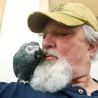 Mark Hart's profile image