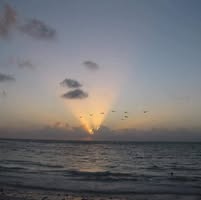 Jeaninne L Warfel's profile image