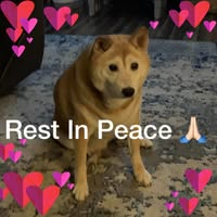 Judy Hemmingway's profile image