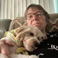 Mimi Morrow's profile image