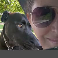 Alesha Teresa's profile image
