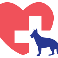 FAD: Free Animal Doctor's profile image