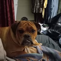 Carol Jacobs Lowery's profile image