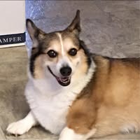 Lorrie Kummeth's profile image