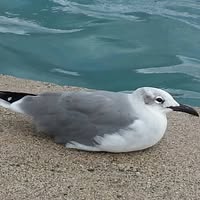 Patrick Mccartin's profile image