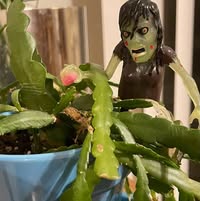 Christine Otero's profile image