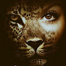 Maritza's profile image