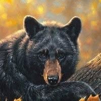 Tonya Woods-Wallace's profile image