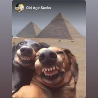 Bikerglenda Wright's profile image