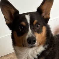 Rita Green's profile image