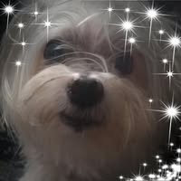 Cooper Turner's profile image
