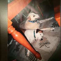 Richard Crosby's profile image