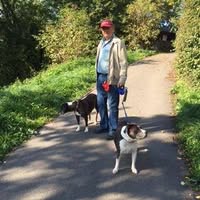 Frans Anton de Roos's profile image