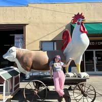 Alyssa McIntosh's profile image