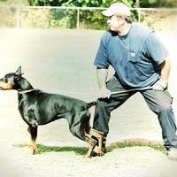 Greg Townshend's profile image