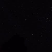 Patricia Mendoza's profile image