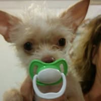 Amy Martin's profile image