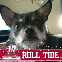 James Wilson's profile image