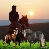 Tara Taryn's profile image