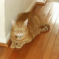 Brian Plunkett's profile image