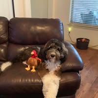Vicki Brown's profile image