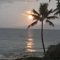 Noslo Nor's profile image