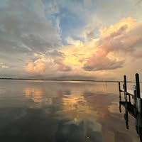 Beth Diotti's profile image