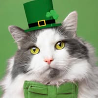 Maureen Harper's profile image